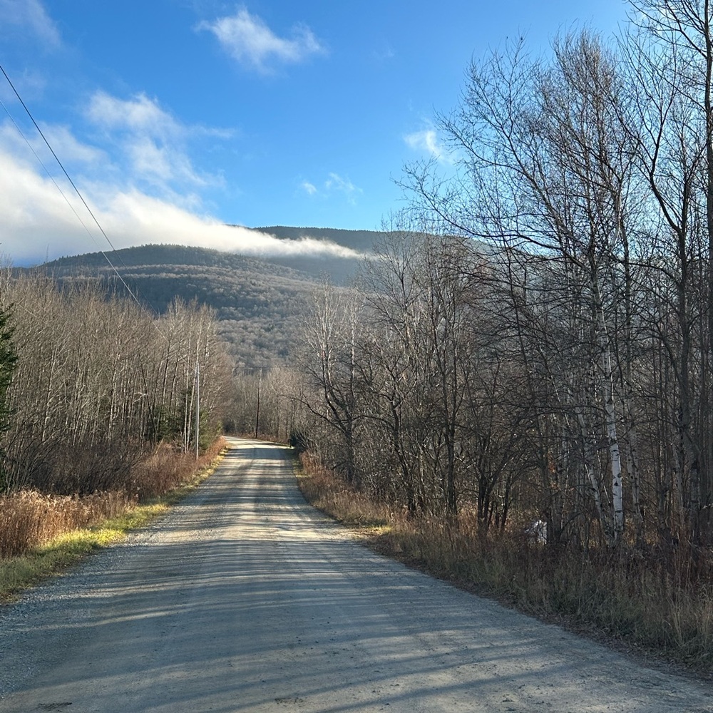 Hello from Vermont 🫶 - Picture 4 of 17